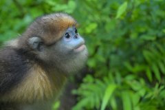 山取金山银山之间